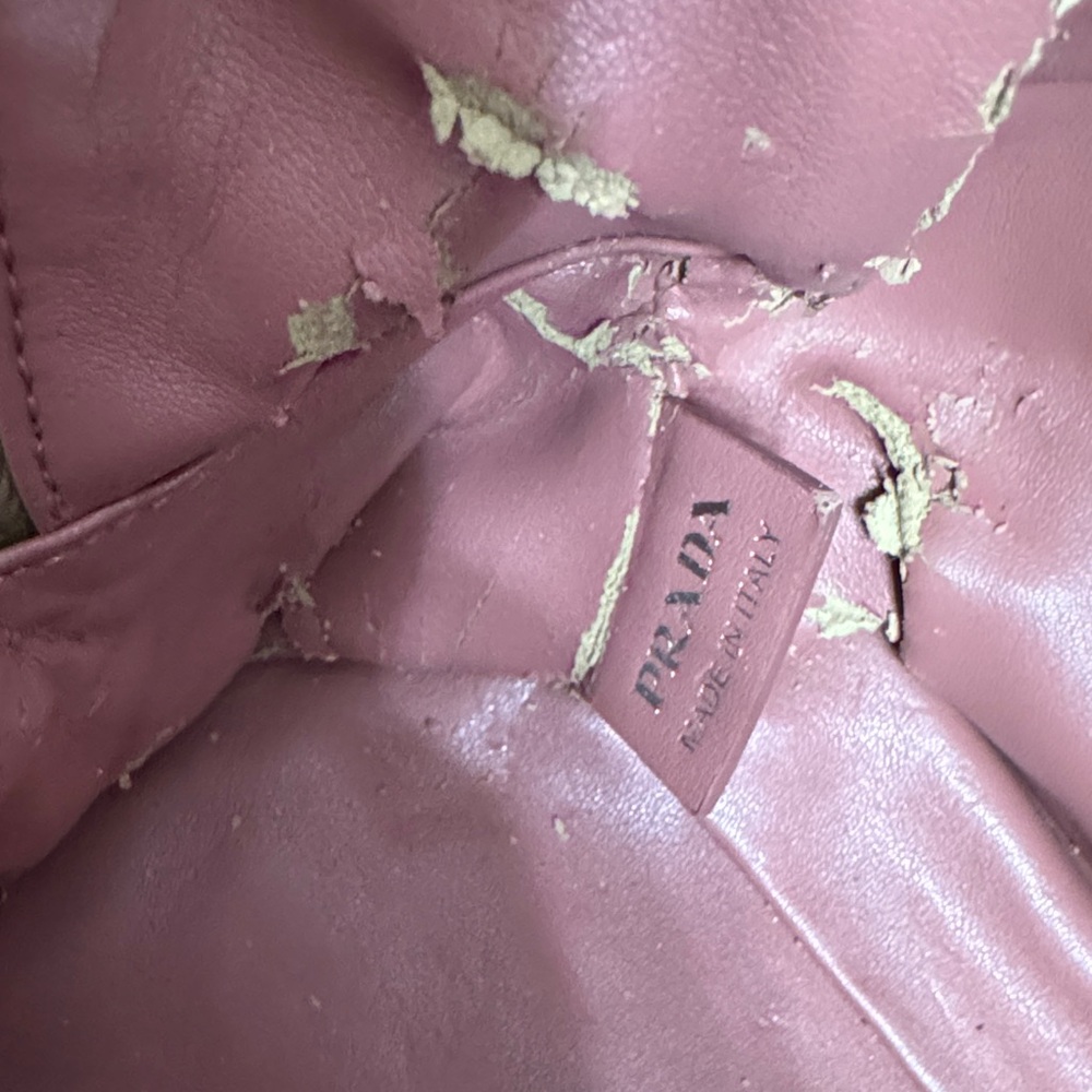 Prada Fairy Bag in Peonia James Jean Collaboration - Picture 14 of 16